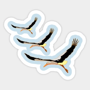 three beautiful storks Sticker
